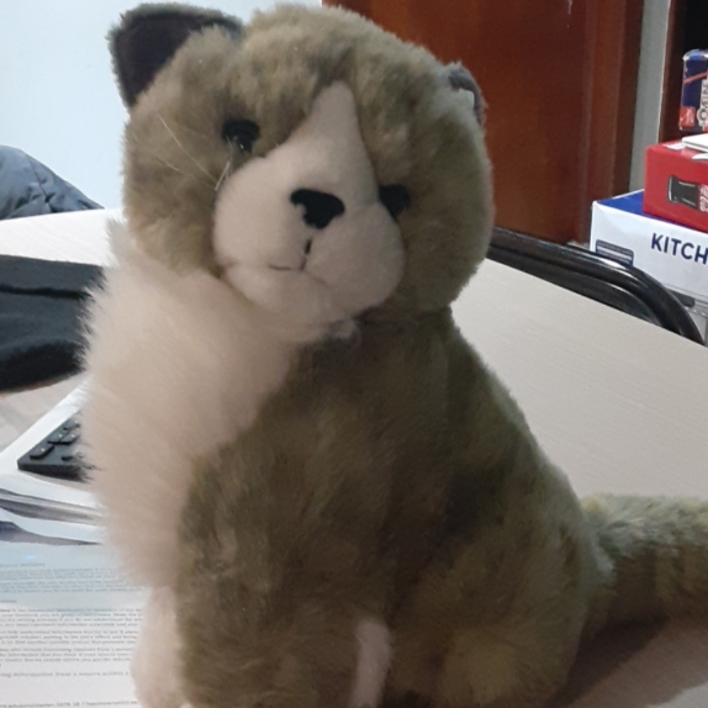 Stuffed Animal